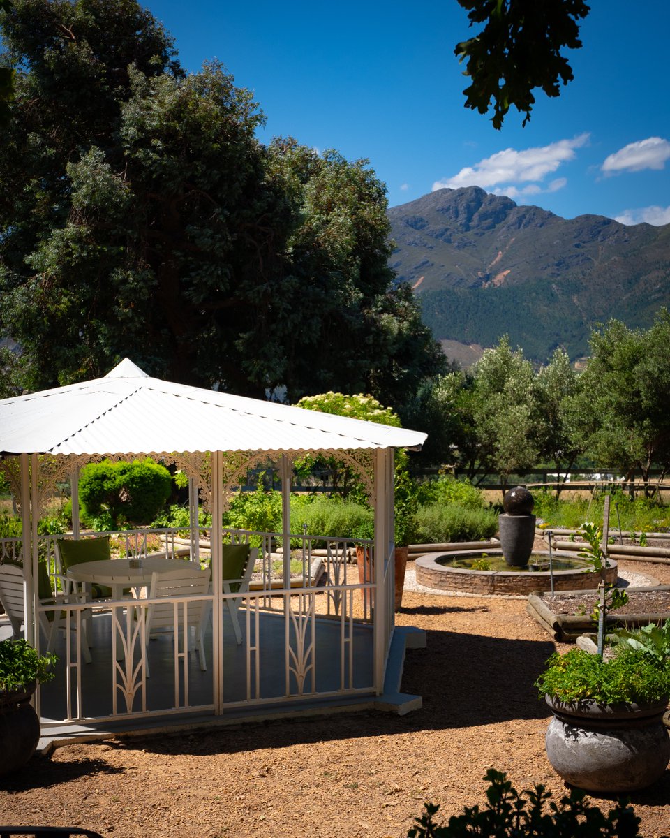 Come behind the scenes with our Senior Buyer, Dave Roberts, to the stunning vineyard of Mont Rochelle in Franschhoek, South Africa 🇿🇦