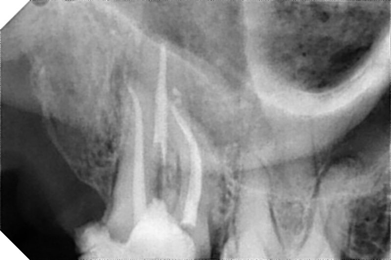 ذعار القحطاني tweet media
