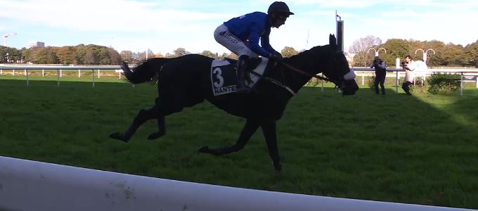 FRANCIA. A Nantes, missione compiuta per il favorito Callisto Du Nord nella Grand Course de Haies de l'Ouest
#monfortpeltier #hippodromedenantes

hurdleandchase.it/francia-a-nant…