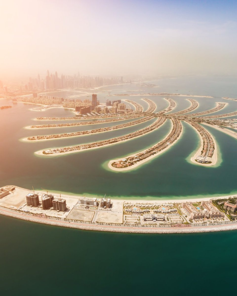 Dollar Flight Club tweet media