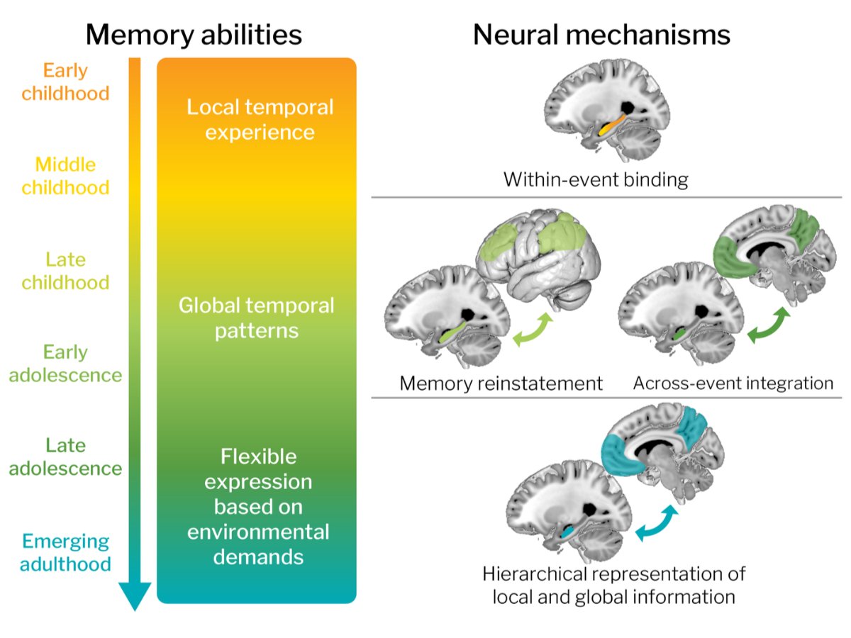 Alison Preston tweet media