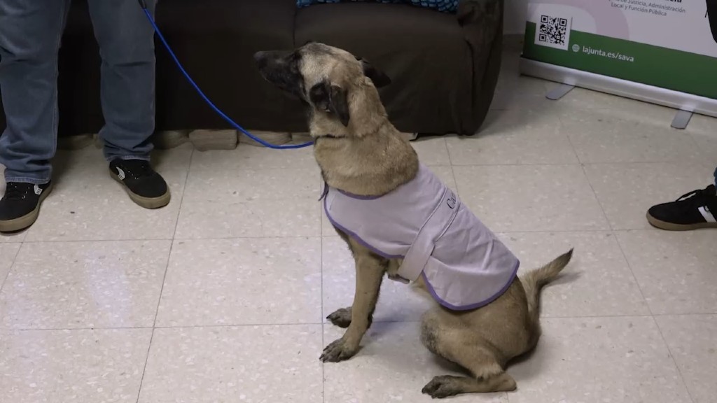 🐕 Hoy hemos hablado del proyecto del Plan de Humanización de la Justicia que incluye la terapia con perros para reducir el estrés de menores y víctimas vulnerables en sedes judiciales. En <a href="/CanalSurRadio/">Canal Sur Radio</a> <a href="/javiebenitez/">Javier Benitez</a> <a href="/JusticiaJunta/">Consejería Justicia, Admón Local y Función Pública</a> <a href="/AndaluciaJunta/">Junta de Andalucía</a> 

▶️ canalsur.es/multimedia.htm…