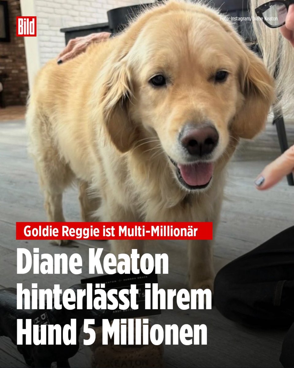 Absolut räudige Unmenschen, die sowas süßes aus reiner Ideologie enteignen würden 😍