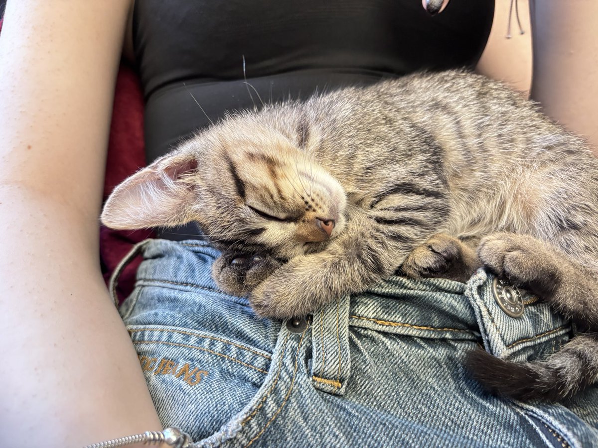 kutuphanede bunu bulduk ders calisma isi iptal