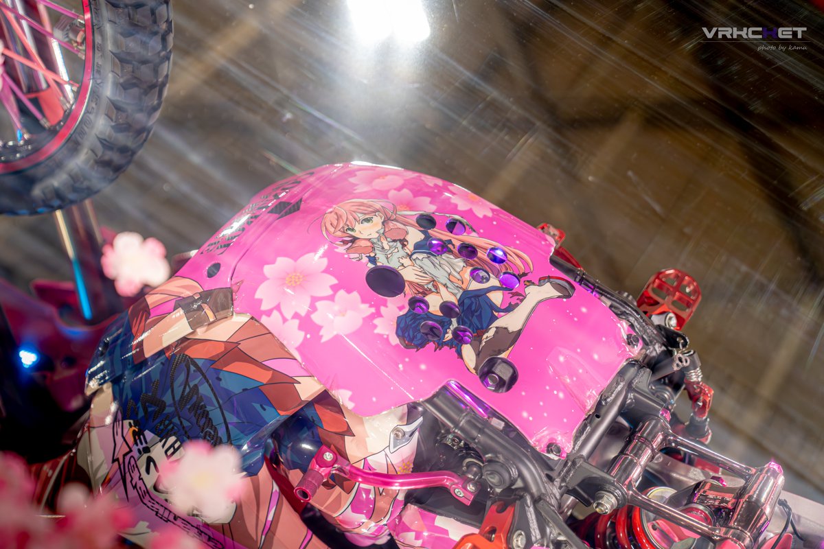 確認ページ♡レディパネル 確認ページ♡レディパネル Amazon.co.jp: Bike Parts Center 302581