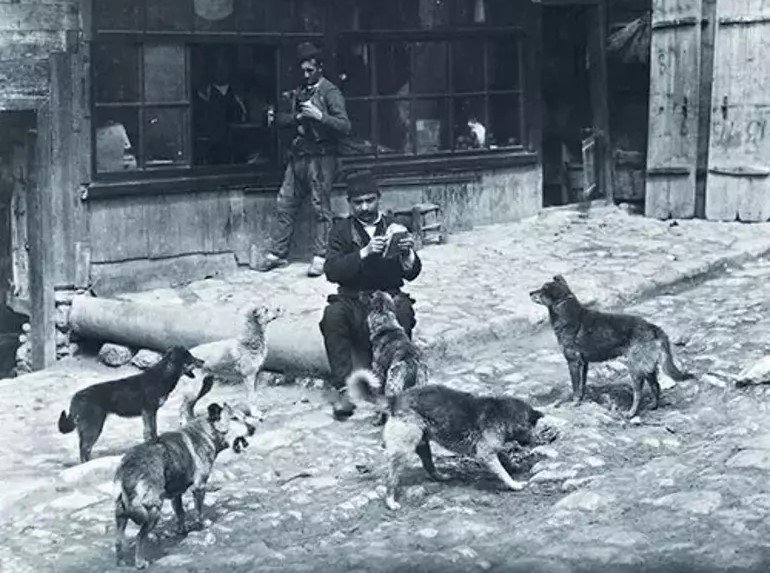 eğer yaşam hakkı mücadelesini doğru bir yerden yürütmek istiyorsak.  suskunların  sesi olacaksak. tarihsel süreci bilmeli, günümüzün ve geleceğimizin  teorisini ise  çoğaltmak için çok yönlü mücadele edebilmeliyiz. 

#beslemeyasaklanamaz
#HayvanaŞiddeteHayır
