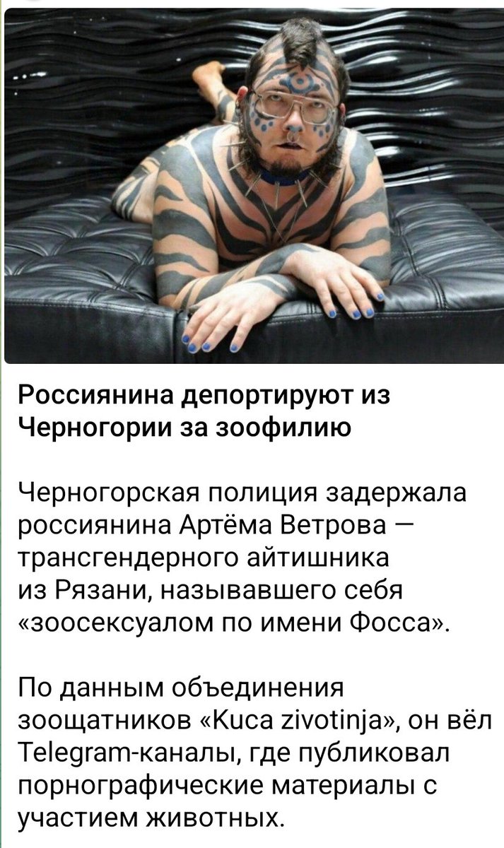 skv_nskv's tweet photo. Квадроберы невероятно усилились https://t.co/czwLlPZIfp