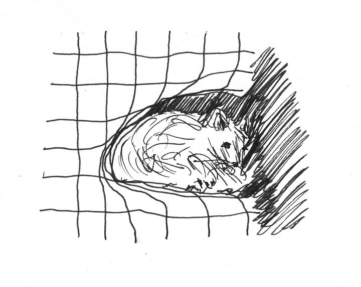 Chaire de Philosophie à l'Hôpital tweet media