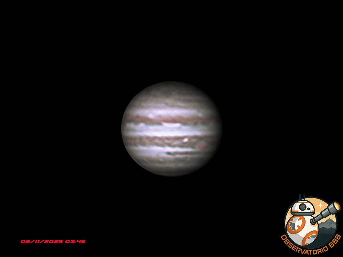 Rubén de Iscar tweet media