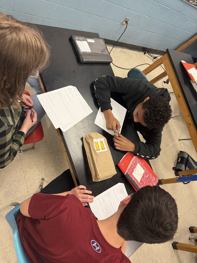 PRMSKNIGHTS's tweet photo. 8th Grade Science students in Ms. Daumeyer's classes investigated dominant and recessive traits with an introduction lab using gummy bears! https://t.co/SHXUz7CeHI