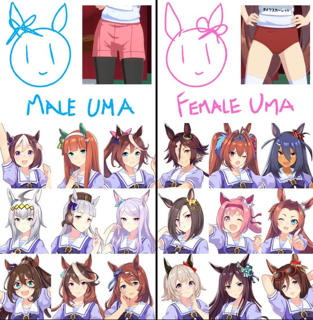 Justo me preguntaba porque hasta donde iba del anime no aparecían caballos machos
Siempre estuvieron ahí 😳