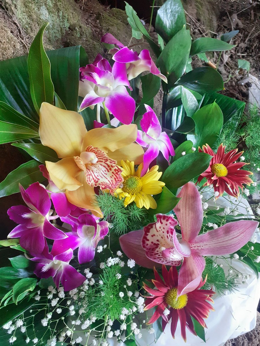 Il y a des fleurs partout pour qui veut bien les voir. 

Henri Matisse