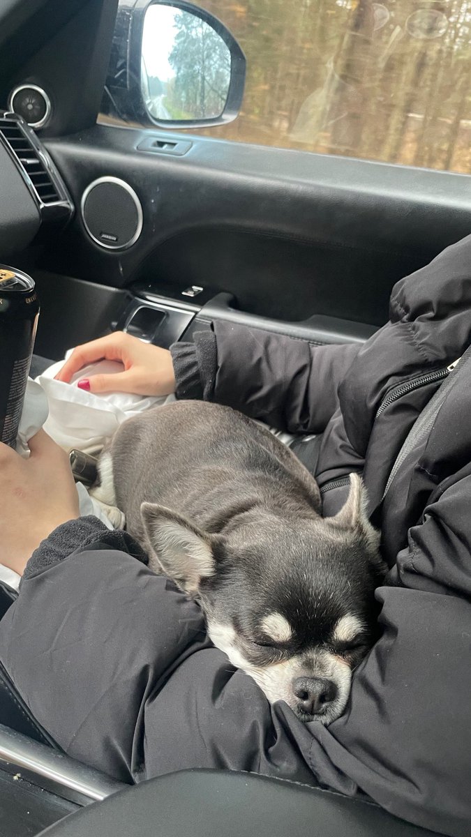 Yin 🇱🇹 tweet media