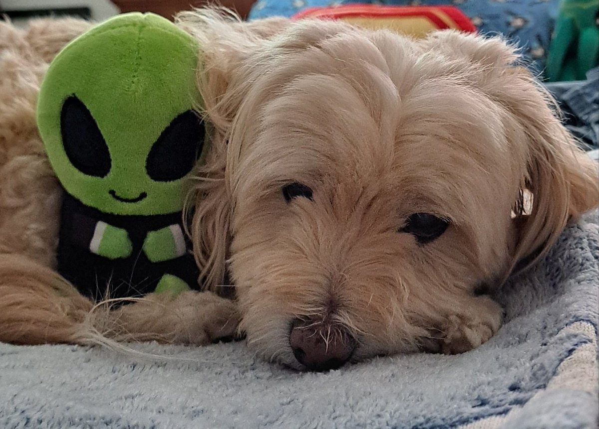 Life's been a bit hard any words of encouragement