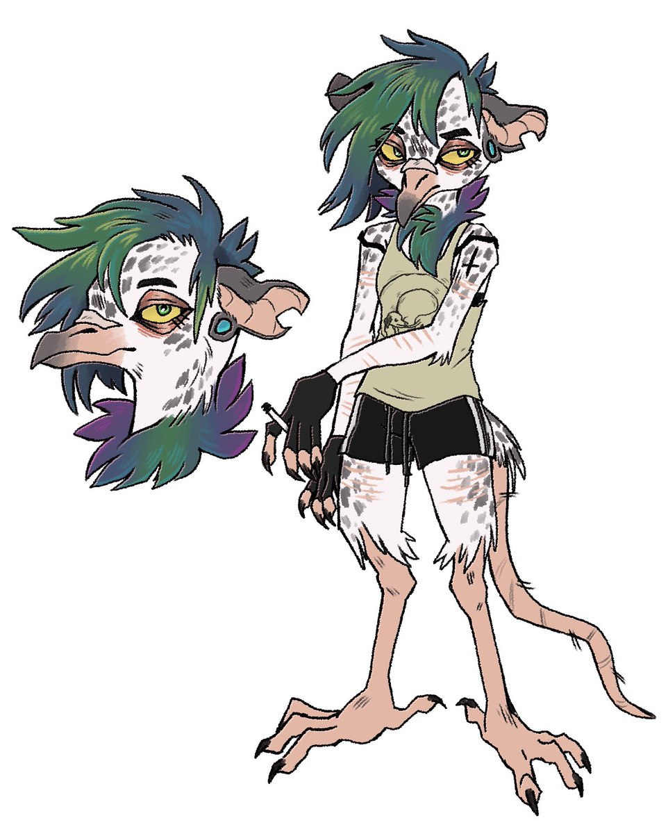 Sylvia the pigeon-possum 🐦 🐀