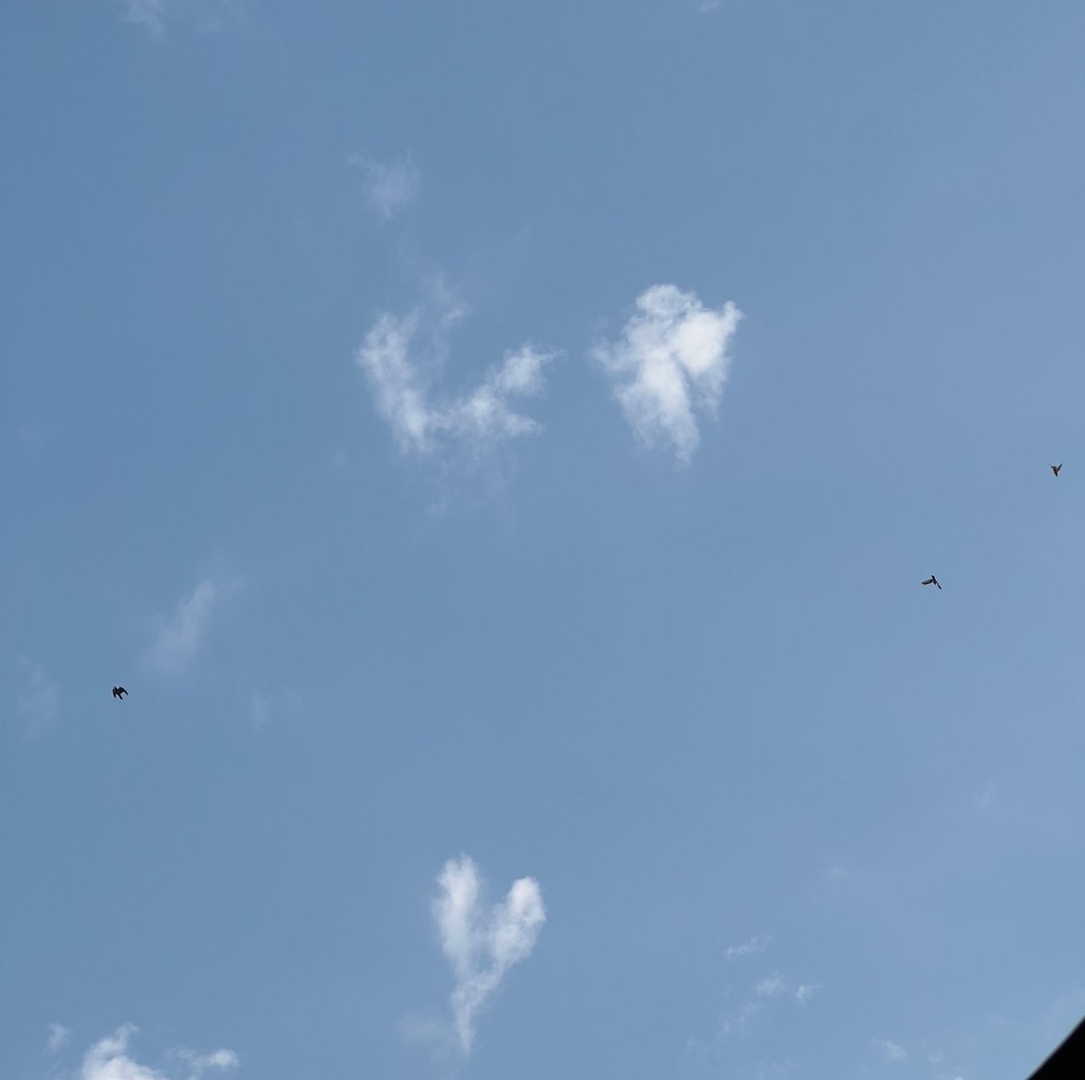 First date vibes : love was literally in the air 🤍