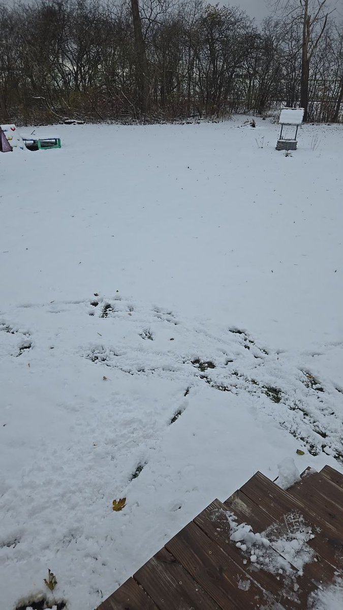 danieldane101's tweet image. 🤦‍♂️