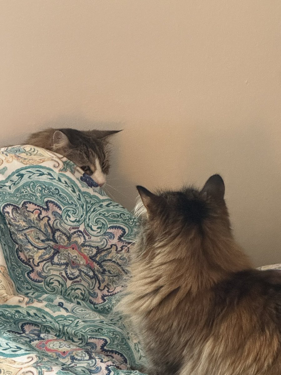 Dylan Woytcke (@dylanwoytcke) on Twitter photo 