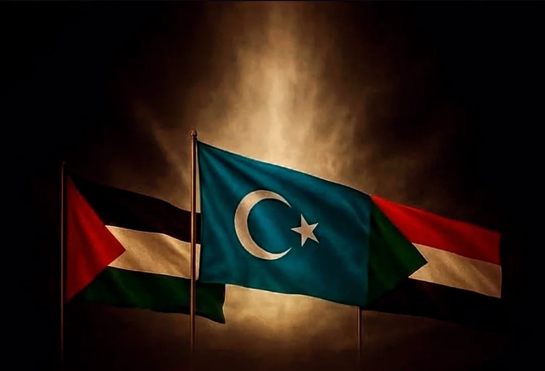 RTElice_'s tweet photo. Üç coğrafya, tek acı
#Gaza / #Turkistan /#Sudan https://t.co/sPaVmhq6W7