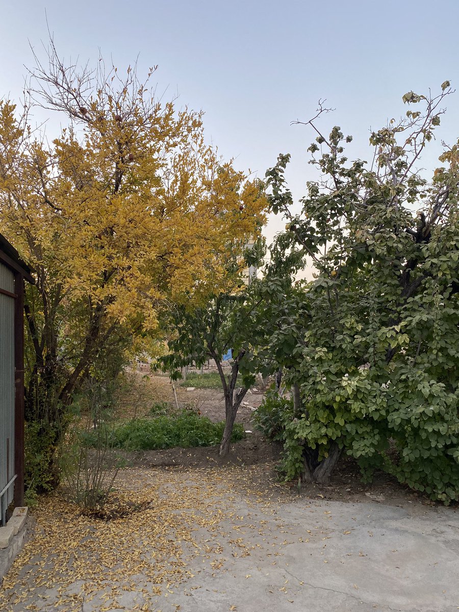melsedeh's tweet photo. نه از ایران چیزی مونده، نه از ما مردم. غمِ بی‌عدالتی، غمِ نداری و غمِ تنهاییِ آدم‌ها!
امیدم به دیدن هرچند وقت‌یک‌بارِ خونه‌ی مادربزرگه، به دم‌ و بازدم‌هام موقع دویدن، به کسایی که دوستشون دارم و حرف‌هایی که باهاشون برای گفتن دارم. https://t.co/E1h32ucEH5