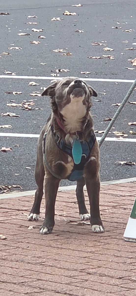 Perfect baby says what? 
Perfect baby says whyyyy