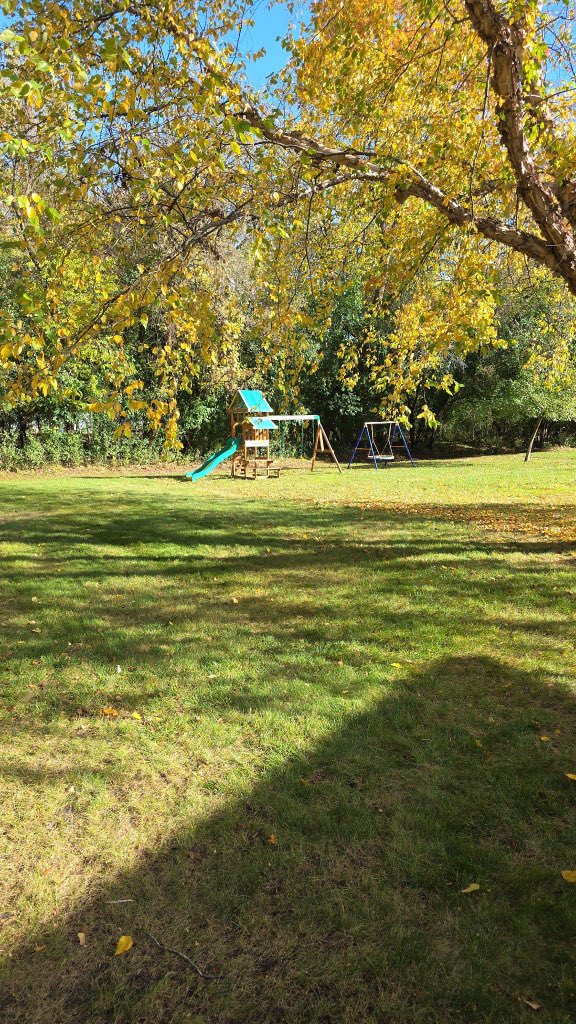 MistressTdotnet tweet media