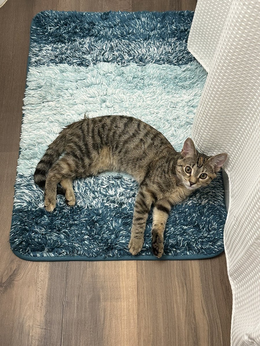 Josh 𒉭 tweet media