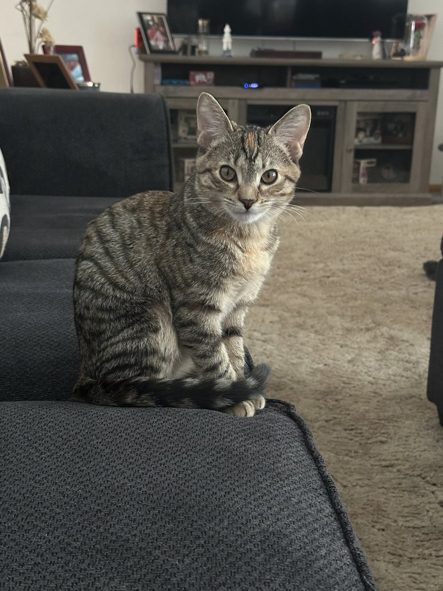 Josh 𒉭 tweet media