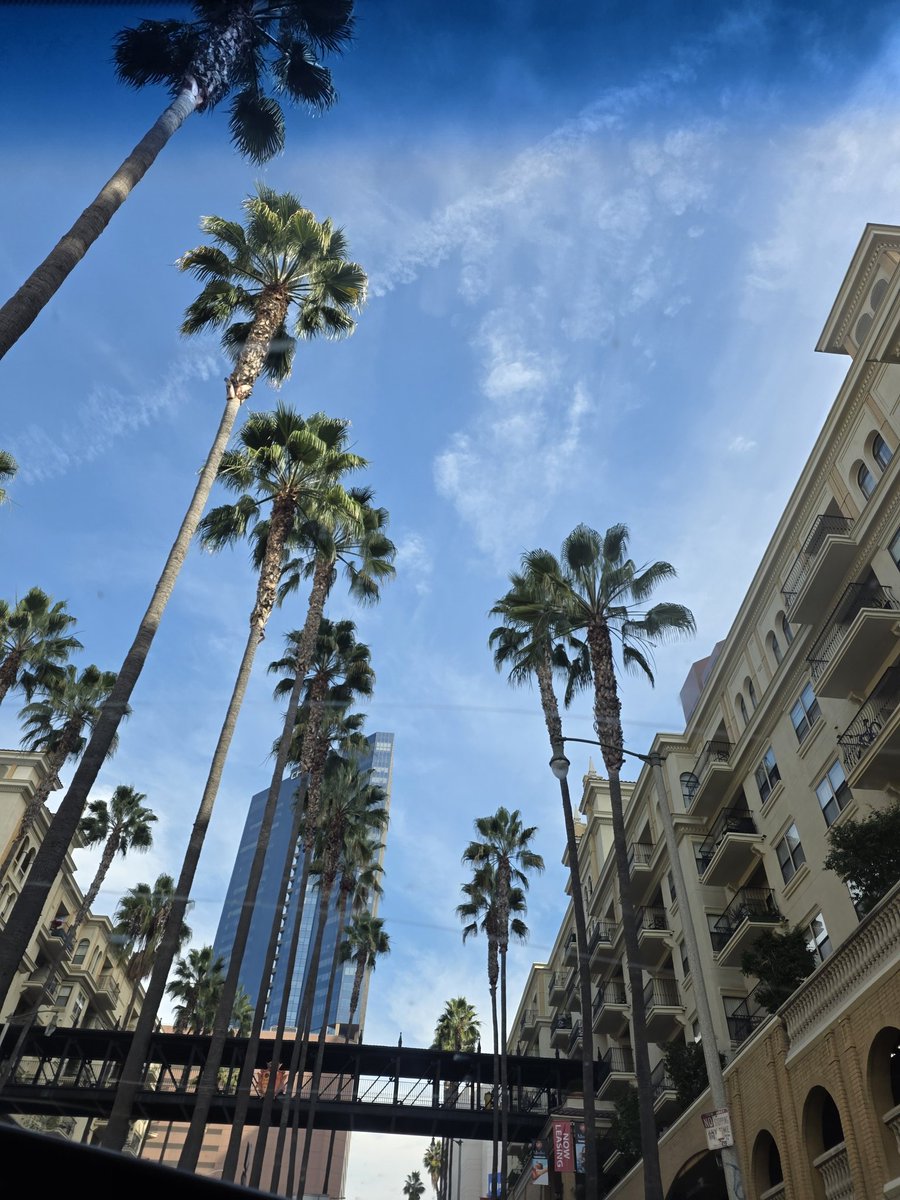 Ok California vibes and ball crushing kicks. LETS GO!