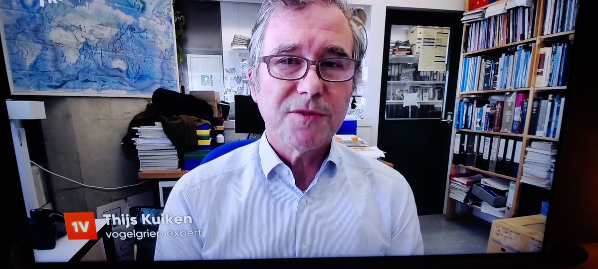 Disjenmgn's tweet image. Thijs KUIKEN is vogelexpert en vertelt over de gevreesde vogelgriep bij @EenVandaag .
#whatisinaname ;-)