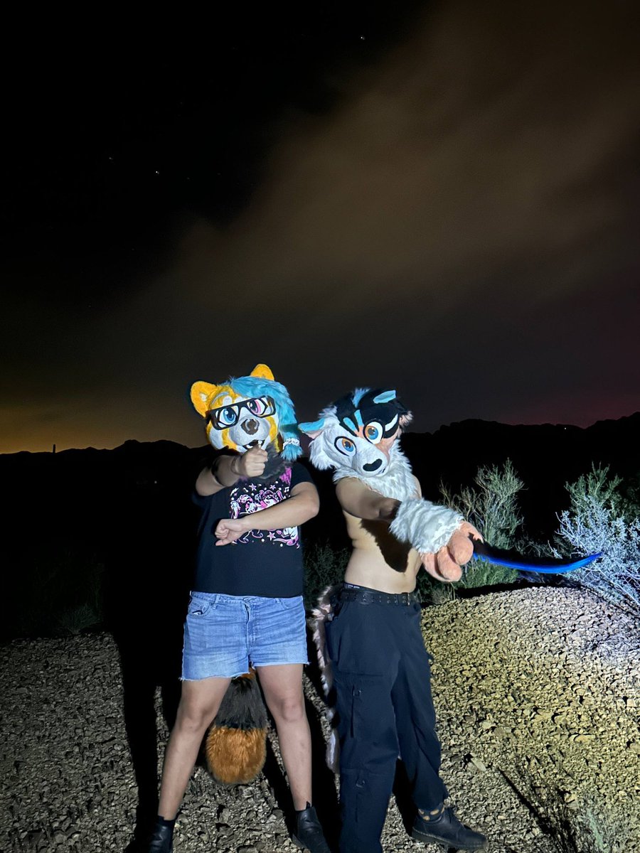 RedPandis's tweet image. Don’t mess with me or I’ll sick my cat twink on you 😤