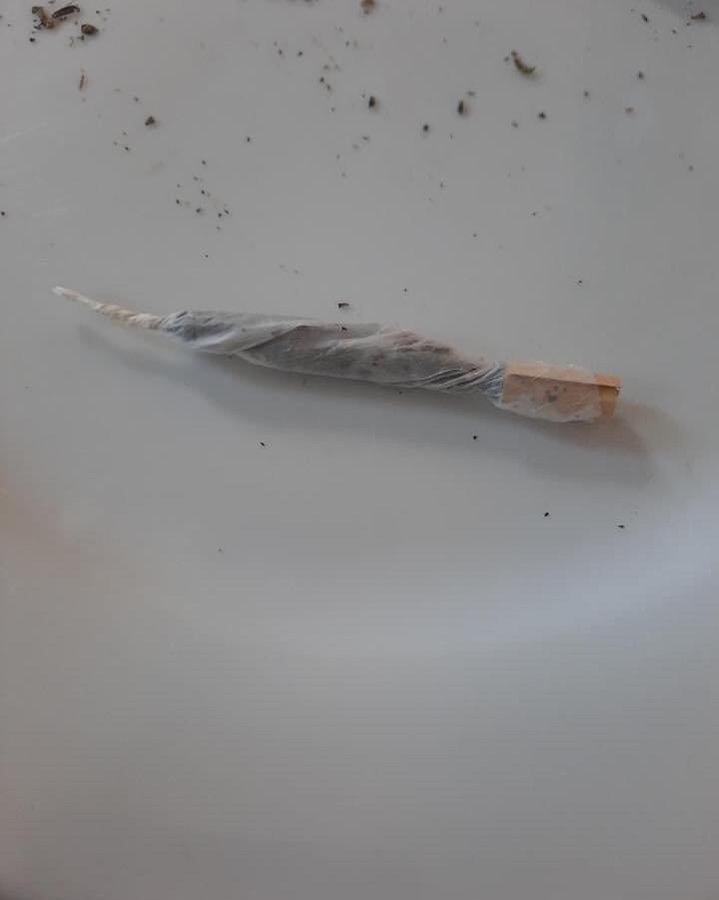 SPACECANNABIS's tweet photo. eu / seu ex https://t.co/Ks1G93g4dk