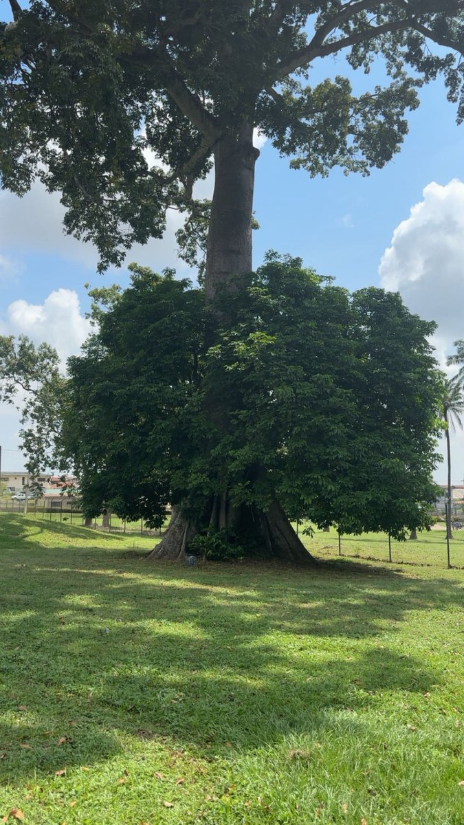 As a creator, you can never run out of material. 

10 years ago, I learnt this: 

Everything around you is content. - watch, listen, document. 

Whenever you feel extra inspired, write down as many ideas as you can, that is your safety net. 

Observe what works and repurpose it.