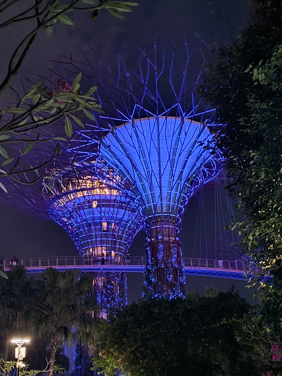 墨童Tony tweet media