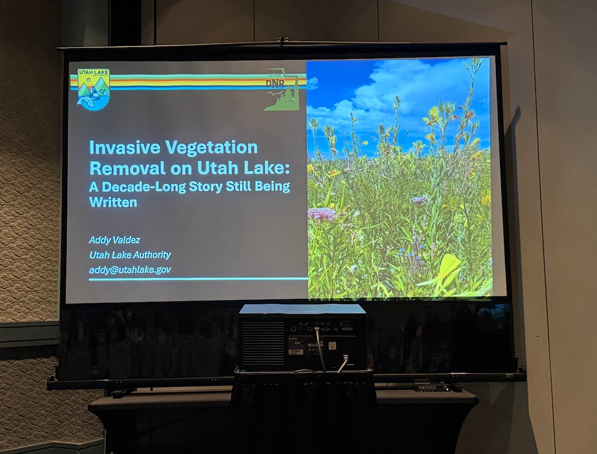 westapms's tweet image. 🌊 The North American Lake Management Society met last week in Myrtle Beach, SC — and there were several presentations highlighting #aquaticplantmanagement projects across western North America! 👏💧

#WAPMS #aquaticweeds #UtahLake #invasiveplants #NALMS2025 #aquaticplants