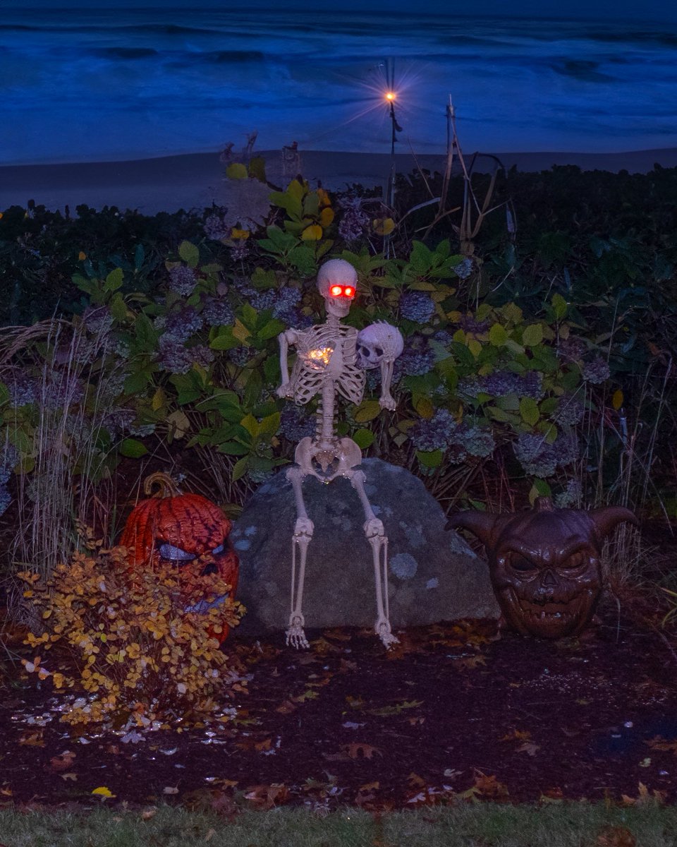 Los Angeles (@newyouserxx) on Twitter photo 