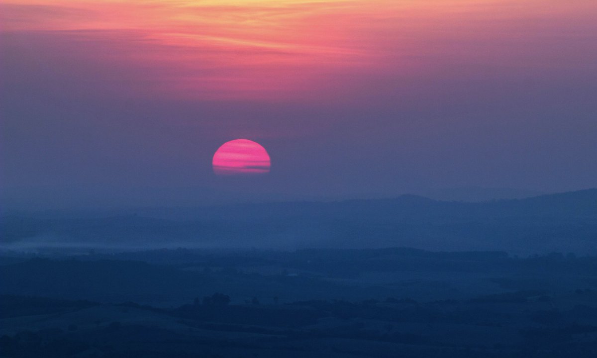 gardenofcolours's tweet image. 