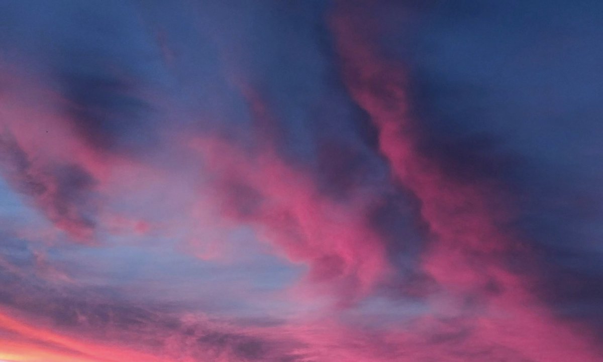 gardenofcolours's tweet image. 