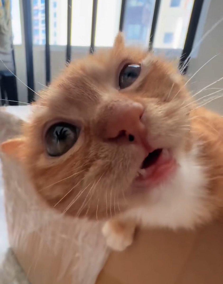 Still kinda stuck at 172 but it's not entirely bad, trying to go as slow as possible with this bulk.