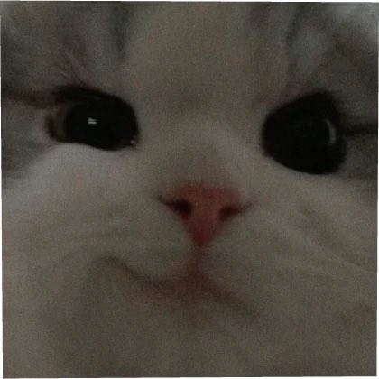 <a href="/PurelyCC/">it's just Rayz</a> <a href="/callmexkingx/">Rk</a>