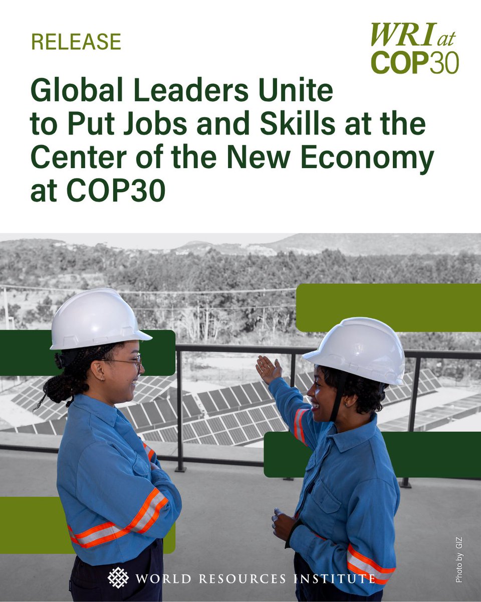 World Resources Institute tweet media