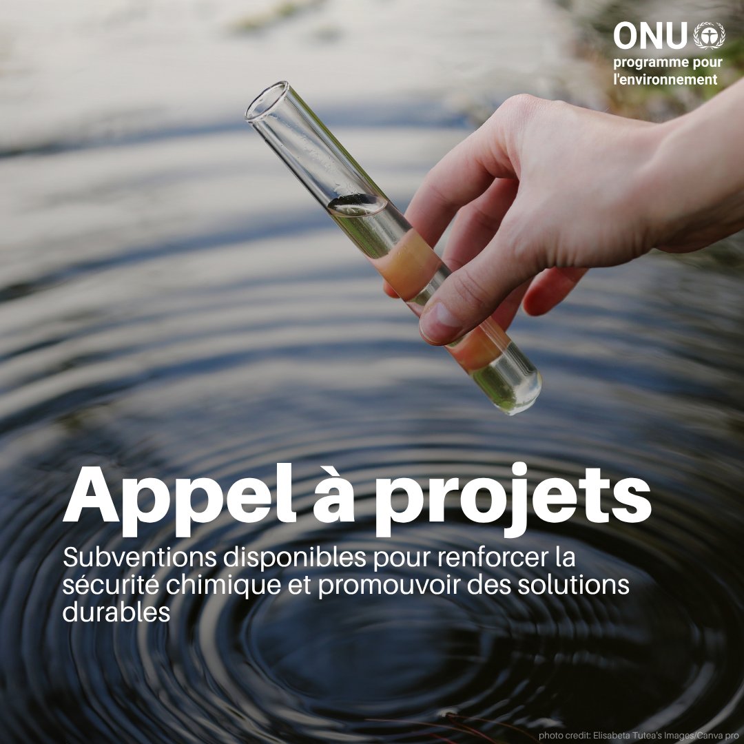 Le Fonds du Cadre mondial relatif aux produits chimiques accepte les projets !
Jusqu’à 800 000 $ de subventions pour les projets proposant des solutions innovantes &amp; évolutives contre les risques liés aux produits chimiques et déchets.

Délai : 15 décembre
unep.org/fr/points-sail…