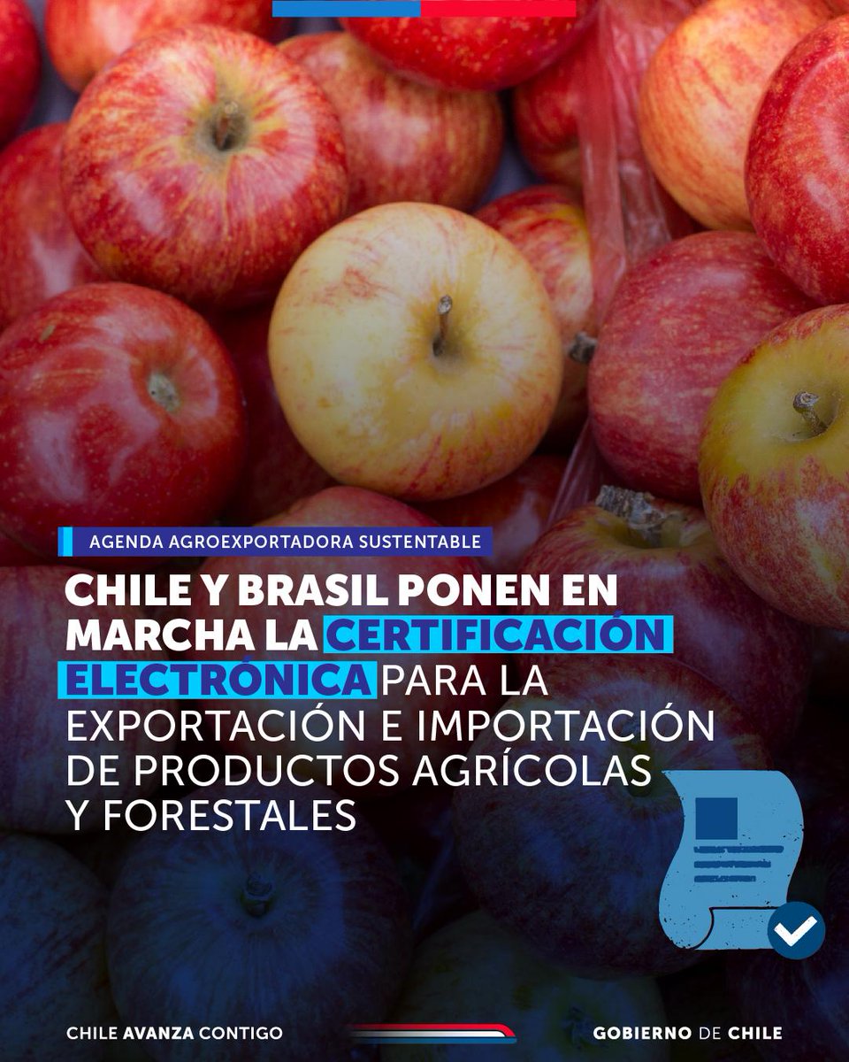 La Agenda Agroexportadora Sustentable avanza con logros concretos 🙌

🇨🇱🇧🇷 Chile y Brasil comenzaron a utilizar la certificación electrónica para productos agricolas y forestales. 

✔️ Esta nueva medida permite reducir los costos logísticos, bajar los tiempos de importación y