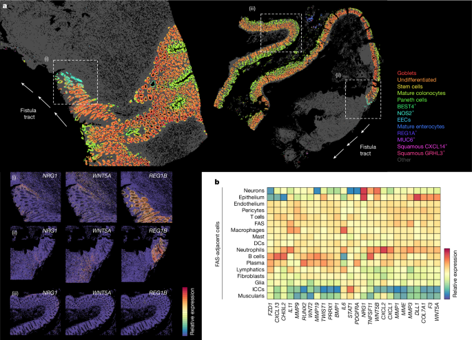 Waggoner Lab tweet media