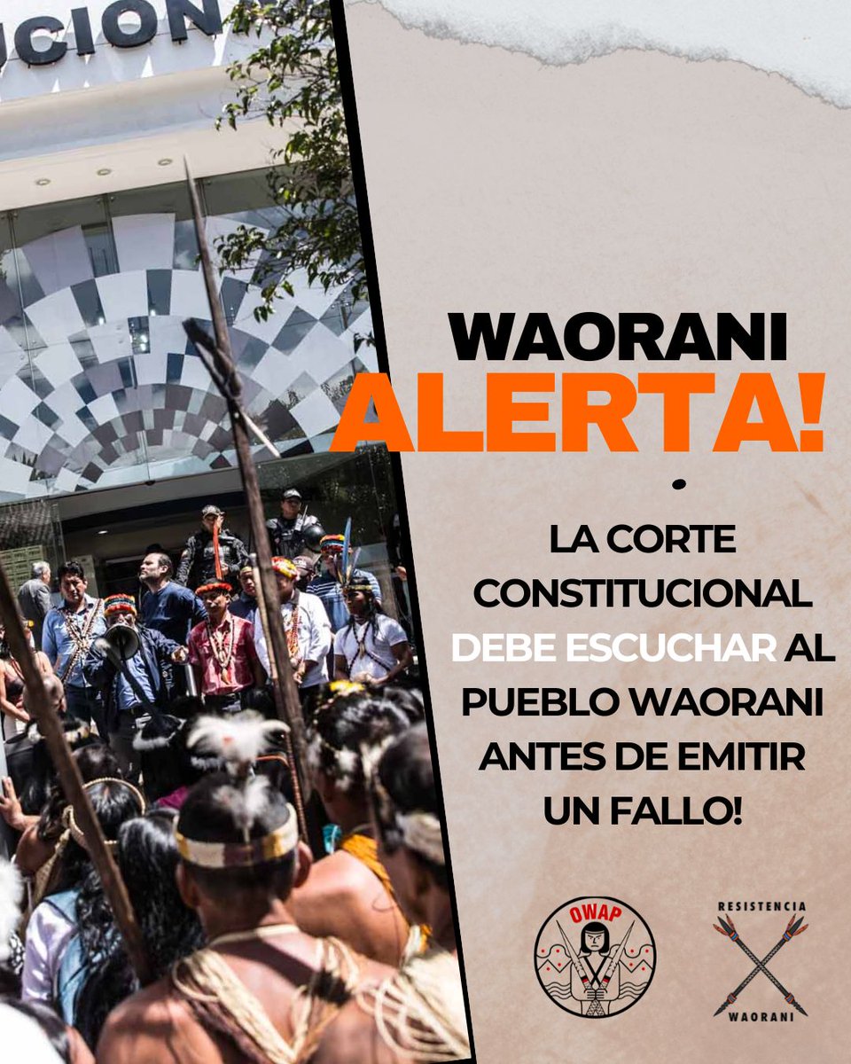 #RondaPetrolera amenaza nuevamente los Derechos de 7 nacionalidades, <a href="/CorteConstEcu/">Corte Constitucional</a> puede lograr un precedente histórico: sentar jurisprudencia en la consulta a pueblos y nacionalidades indígenas en riesgo ante proyectos petroleros.
#ResistenciaWaorani