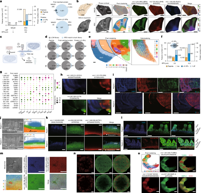 Waggoner Lab tweet media
