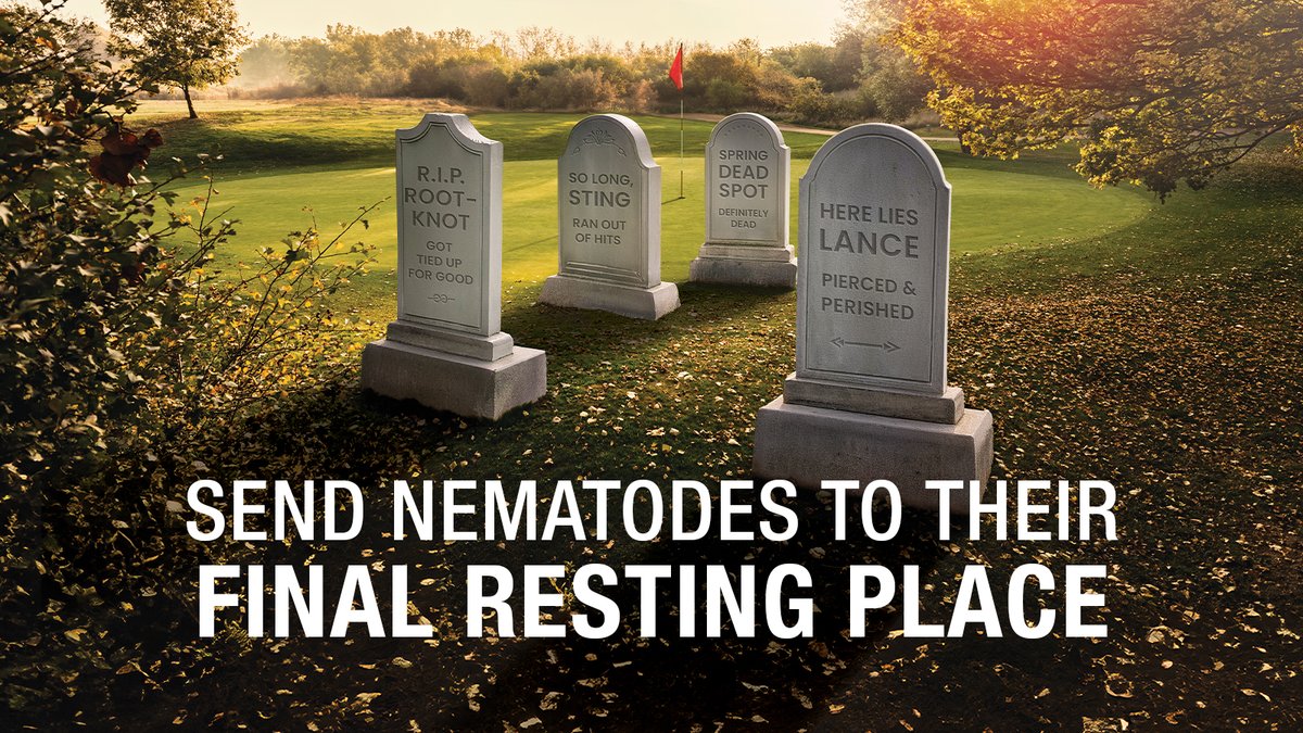 Syngenta Turf US tweet media