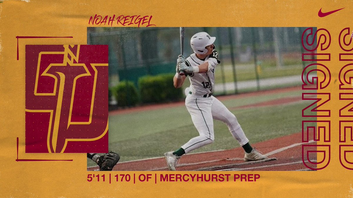 Gannon Baseball tweet media