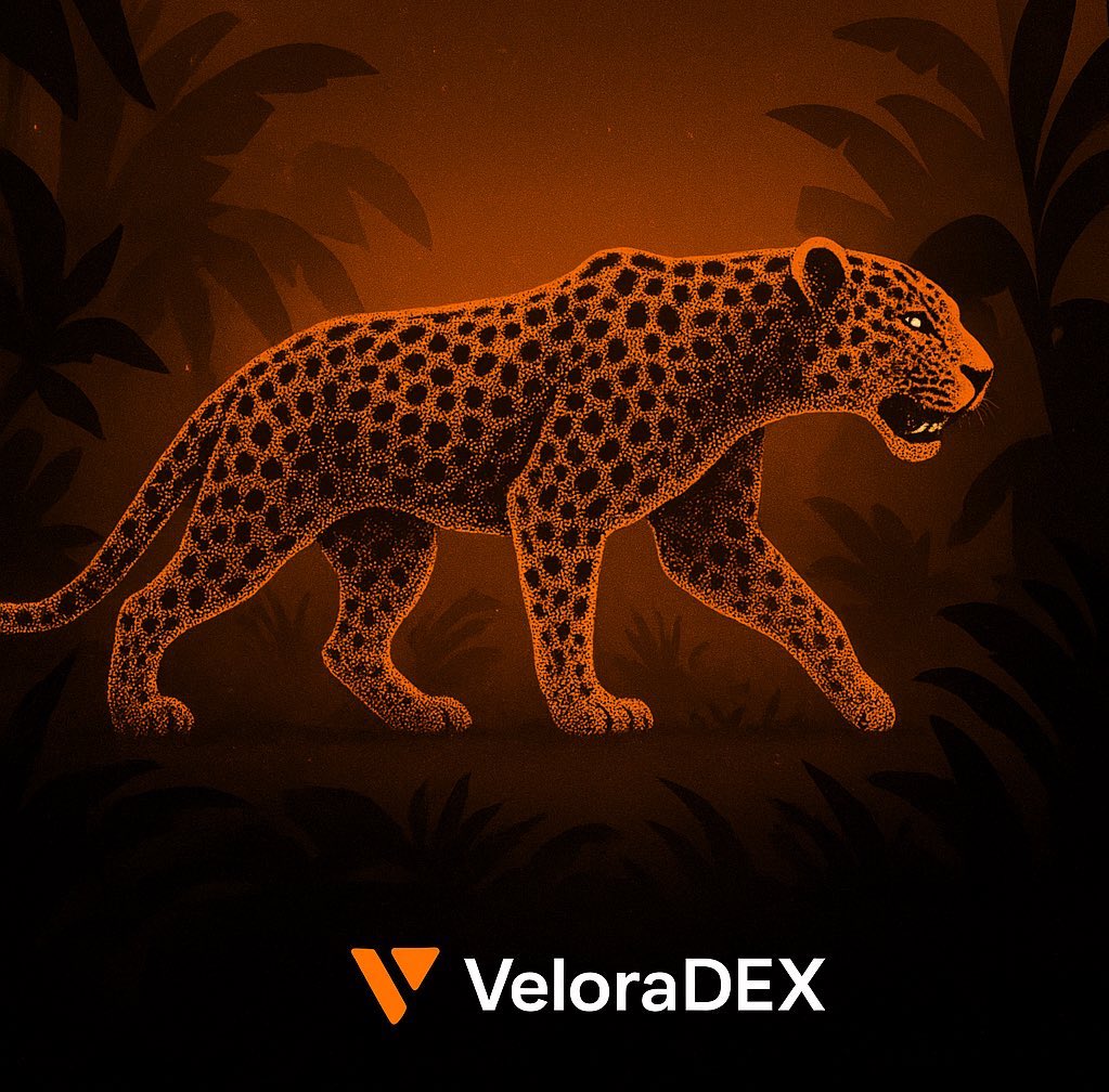 Web3Abdn's tweet image. Everyone building bridges.
@VeloraDEX built one you don&apos;t even notice,no tabs,no gas swaps,no waiting

@VeloraDEX Delta  with intent lets you trade across chains as if it&apos;s one unified network

Liquidity auto-routes under one single settlement layer seamless , silent,and smart