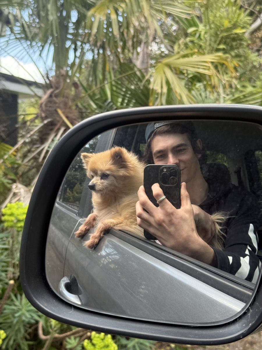 dyl tweet media